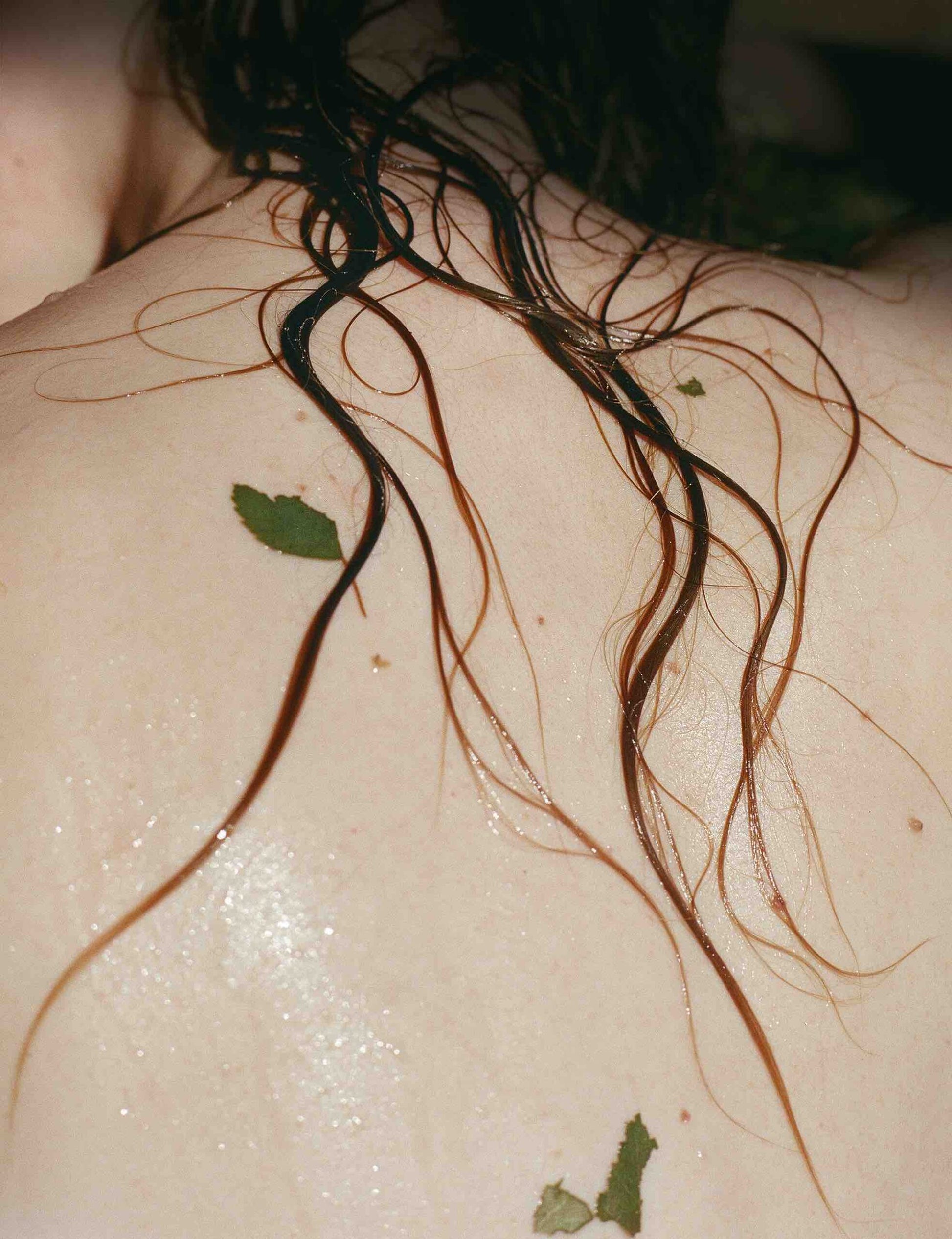 Wild Woods Moisture Wash - IOrganic