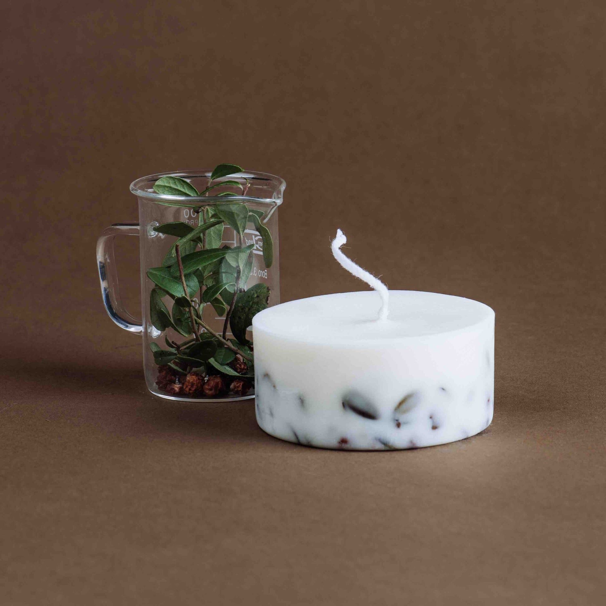 Candela alle Bacche di Sorbo e Foglie di Mirtillo - IOrganic