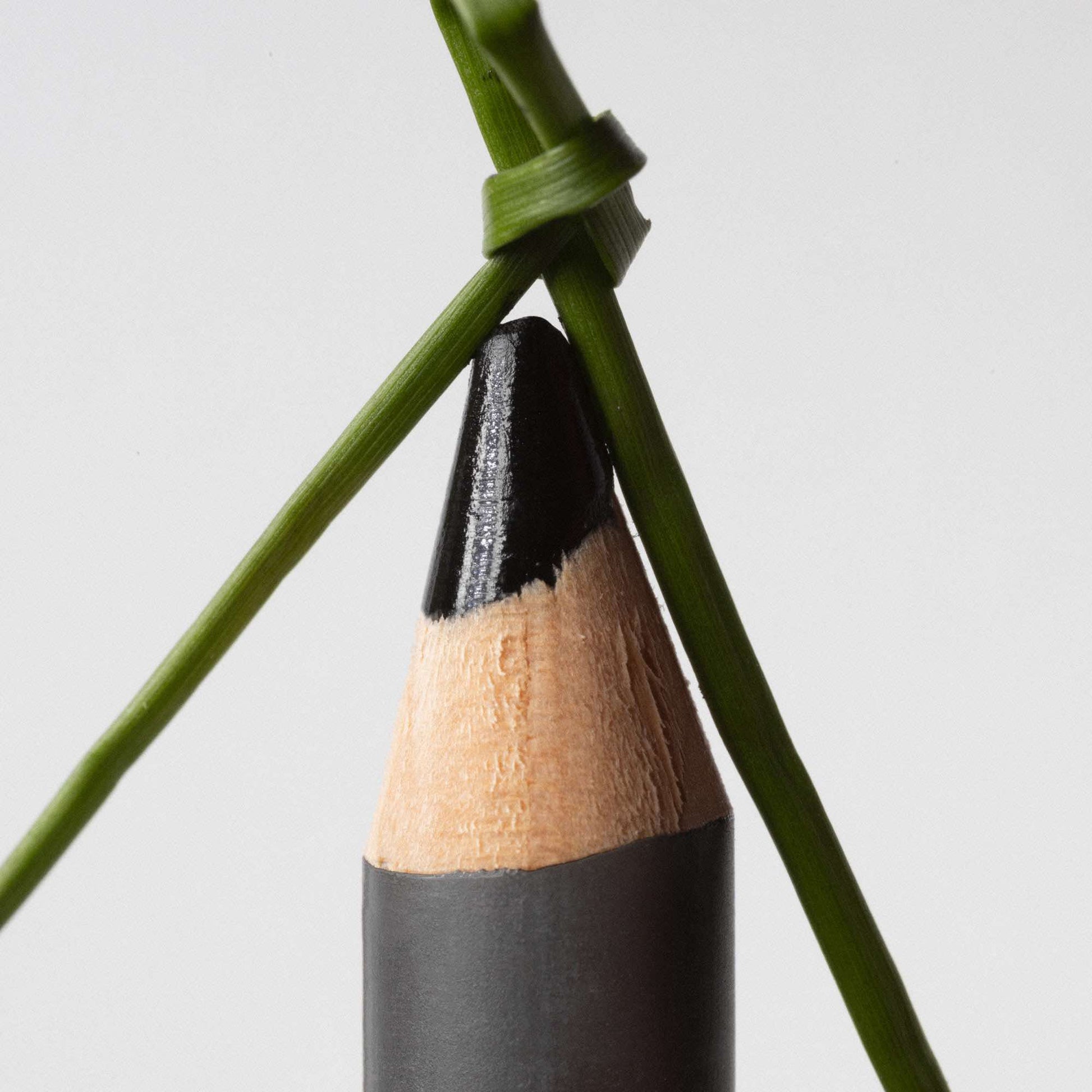 The Eye Pencil - IOrganic