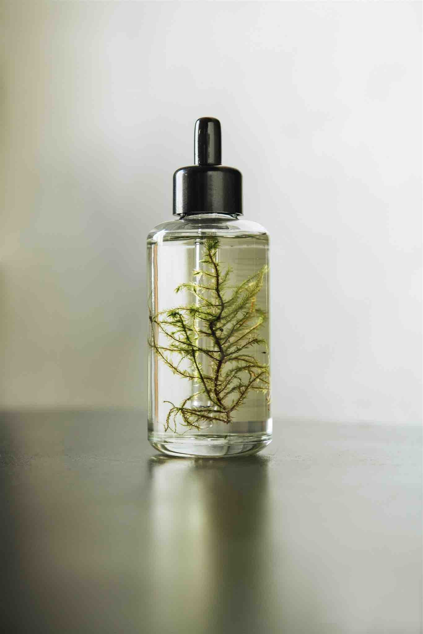 Olio Corpo al Muschio - IOrganic