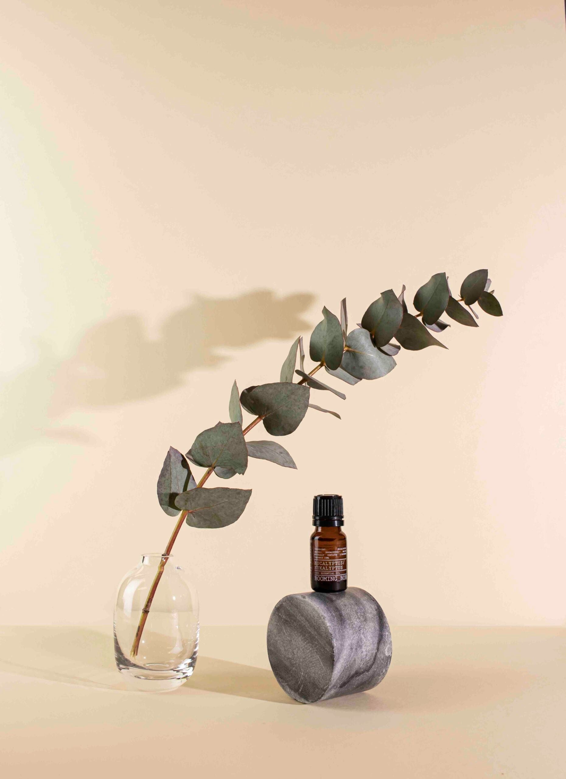 Olio Essenziale Eucalipto - IOrganic