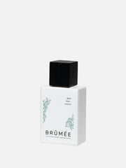 Profumo al Pino & Vetiver - IOrganic