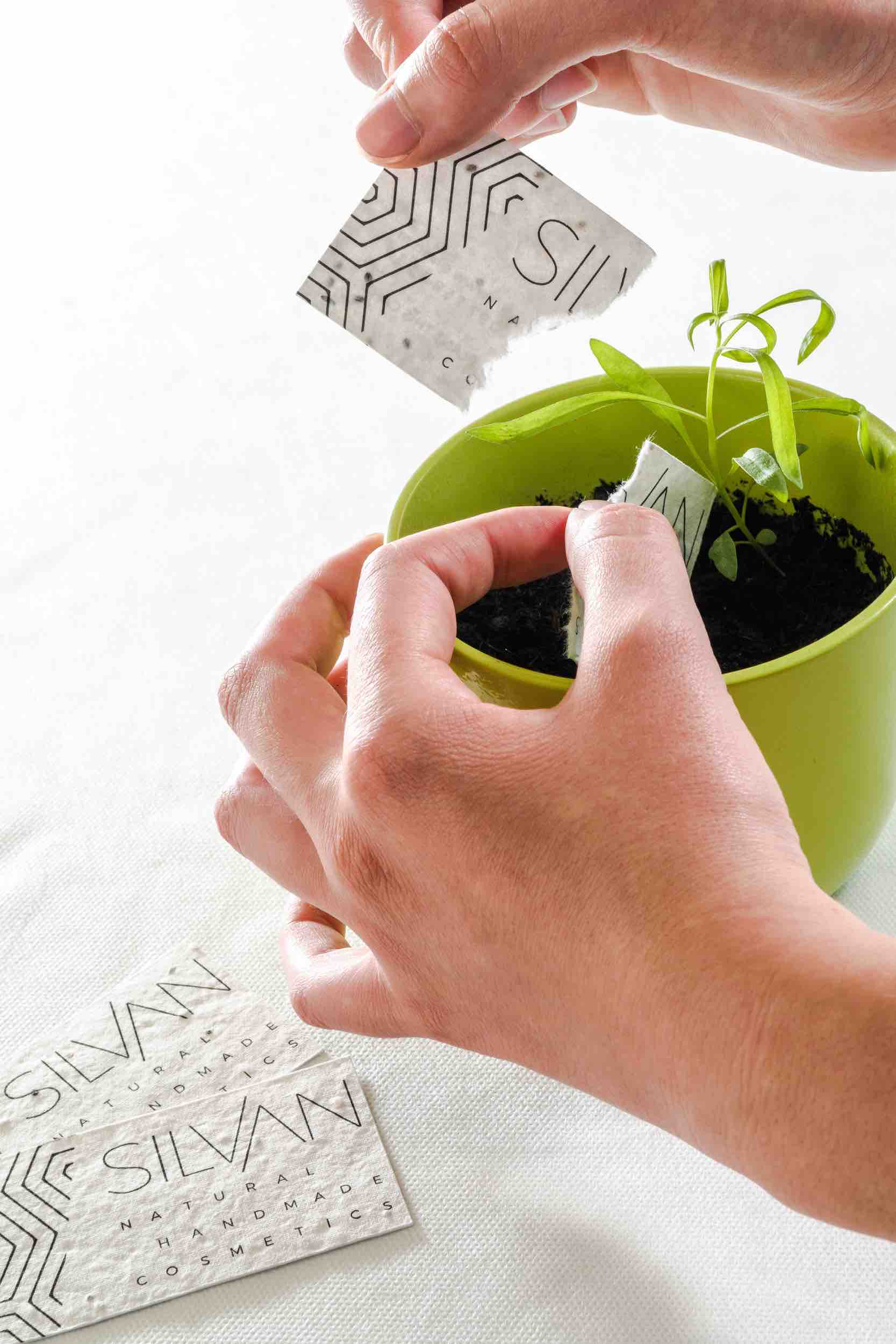 Set Saponi Solidi - IOrganic