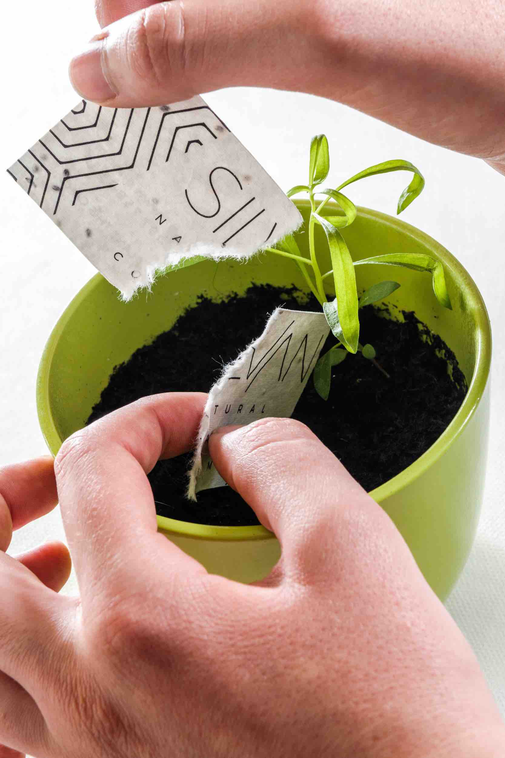 Coffee To Grow - IOrganic